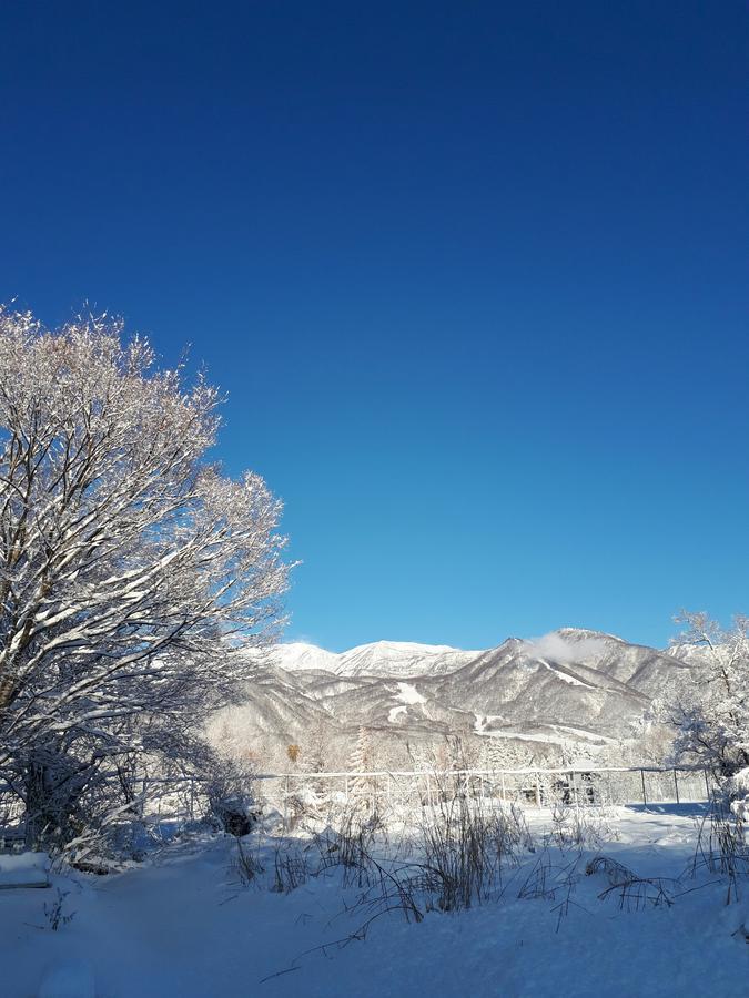 Pension Snow 白馬村 エクステリア 写真